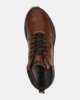 Australian Walker - Hoge sneakers - Cognac