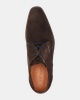 Van Lier Erasmo - Lage nette schoenen - Bruin