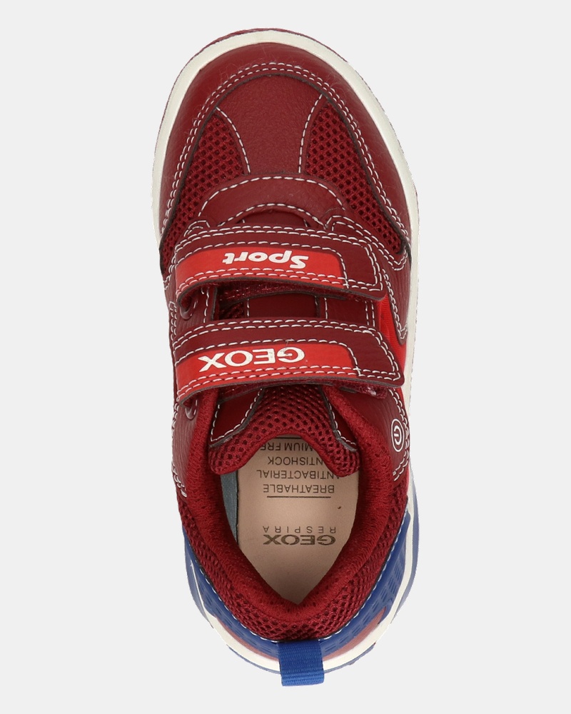 Geox Inek Boy - Lage sneakers - Rood