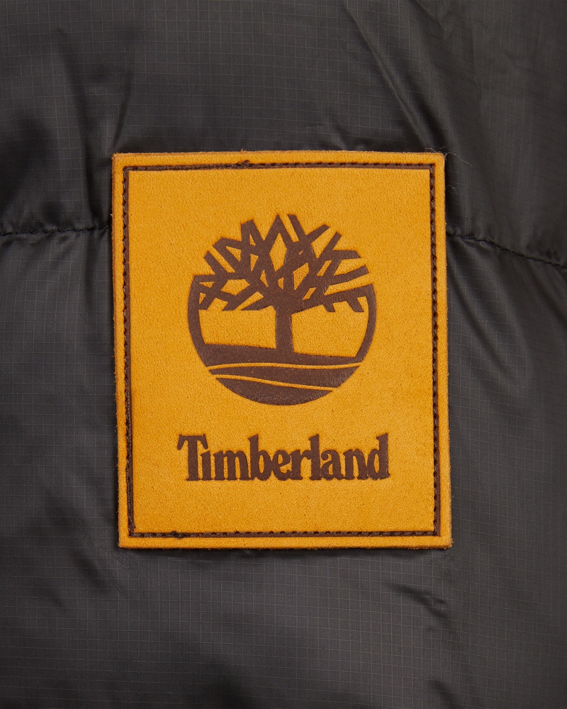 Timberland - Jas - Zwart