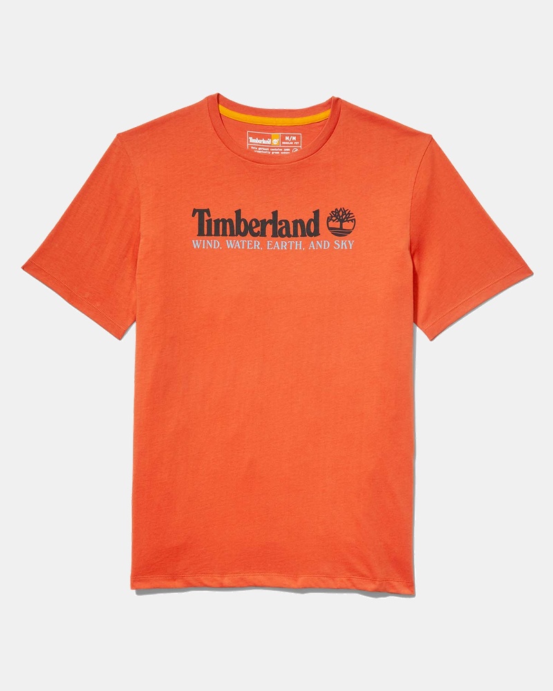 Timberland Grapic Tee - Shirt - Oranje