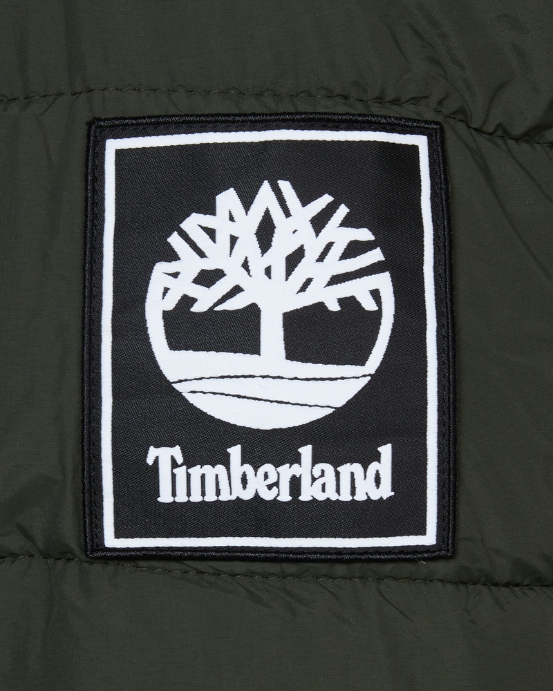 Timberland - Jas - Groen