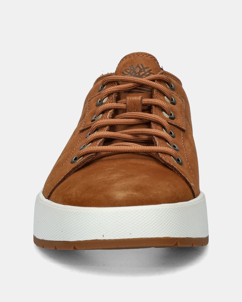 Timberland Maple Grove - Lage sneakers - Bruin