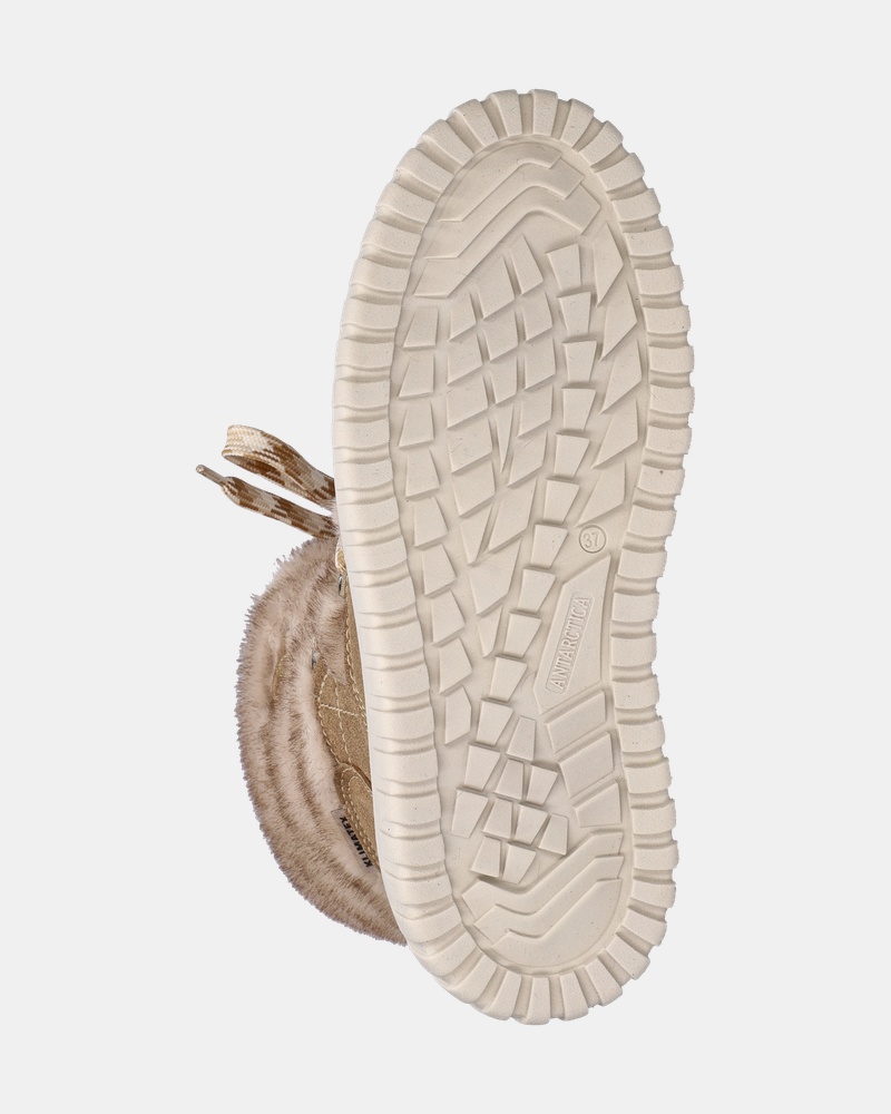 Antarctica Snowboot - Gevoerde boots - Beige