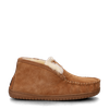 Warmbat Australia Rewan